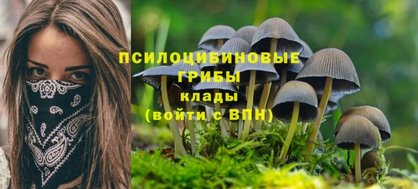 прущие крисы Алексеевка